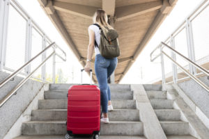 Année de césure 2026